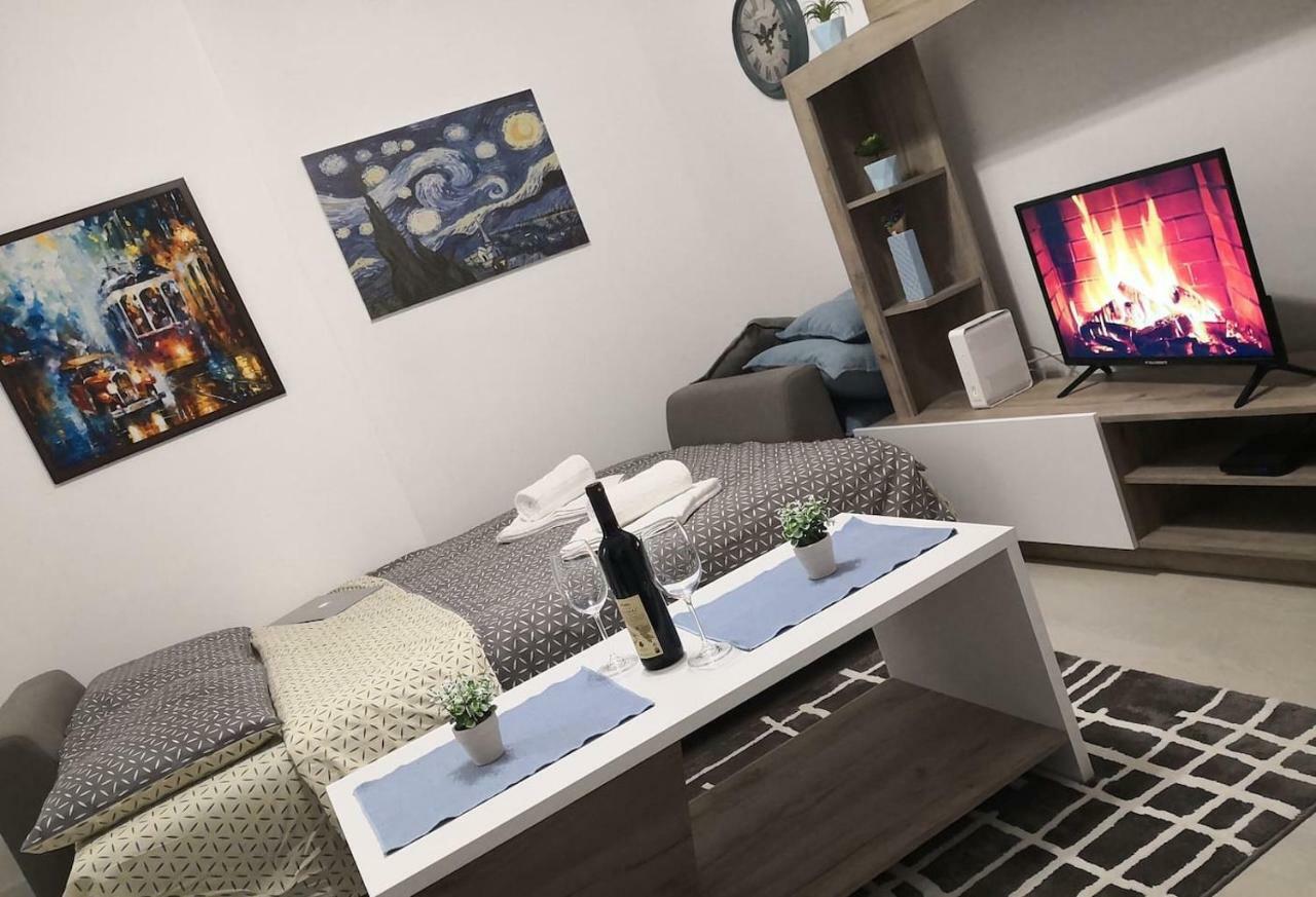 Vasa Central Studio Novi Sad Extérieur photo